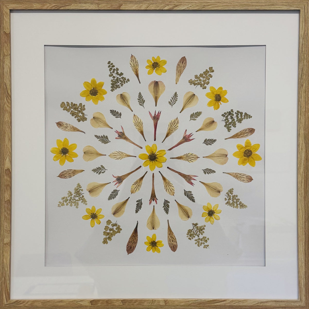 Bidens Mandala