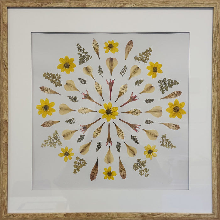 Bidens Mandala