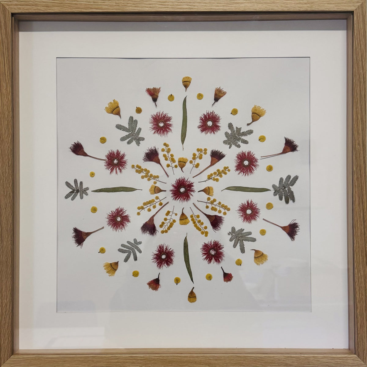 Eucalyptus Mandala